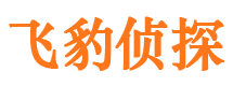 石峰侦探